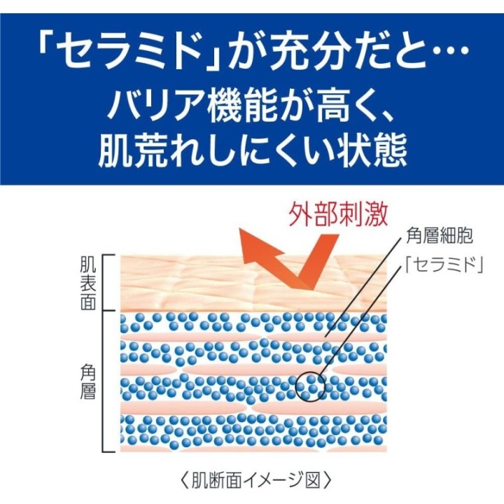 copy of 